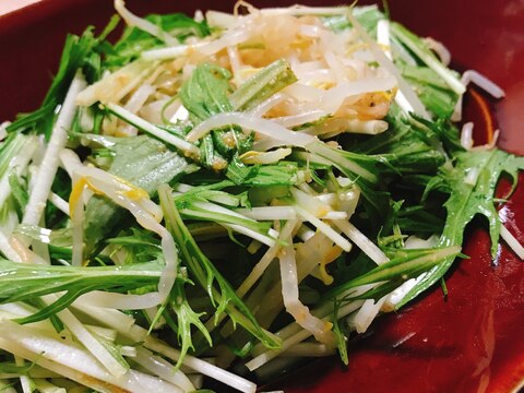 【簡単夕飯】生姜香る、もやしと水菜のゴマサラダ